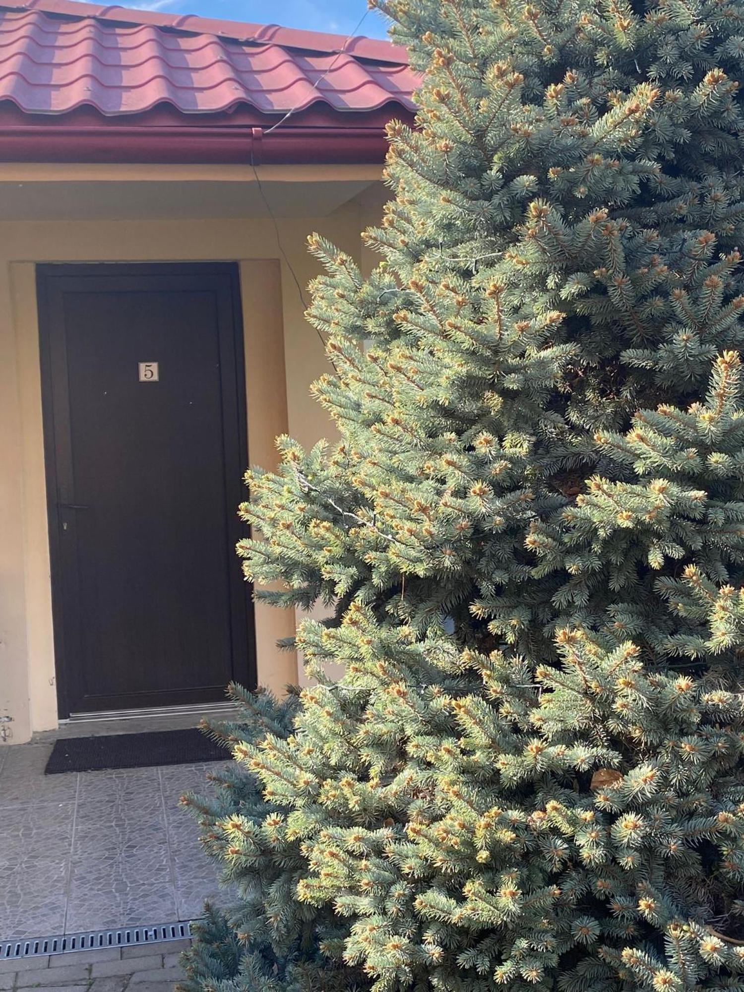 מלון סאטו מארה Casa Sofia מראה חיצוני תמונה